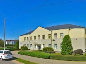 Смолевичи, СДЮШОР по борьбе