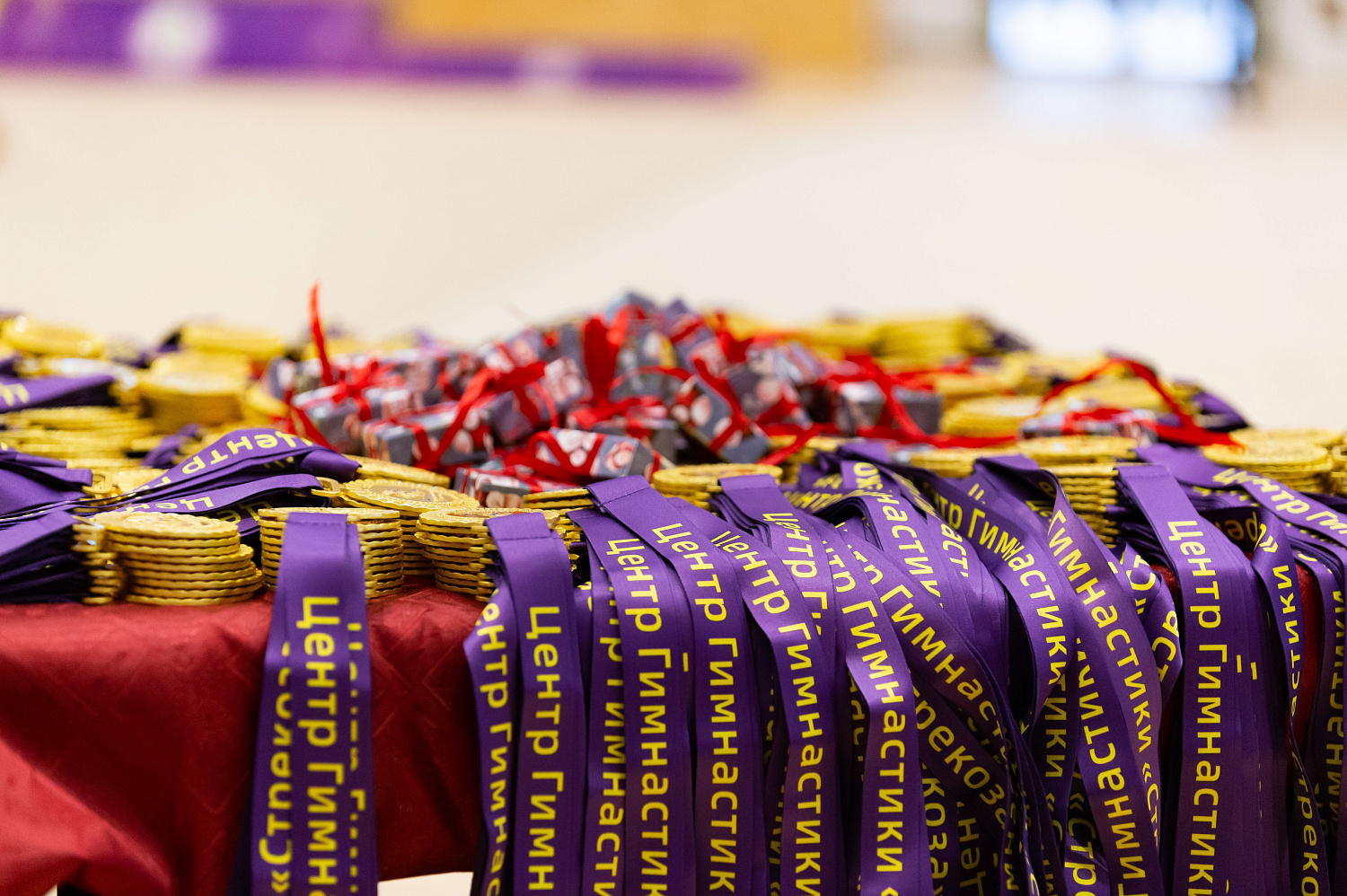 Турнир " Рождественская Стрекоза 2023" 