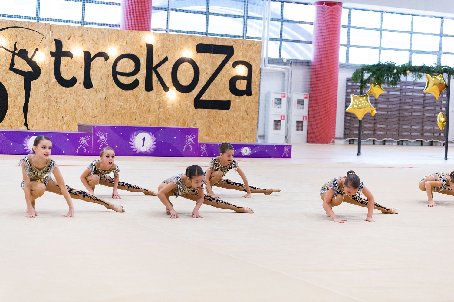 Турнир " Рождественская Стрекоза 2023" 