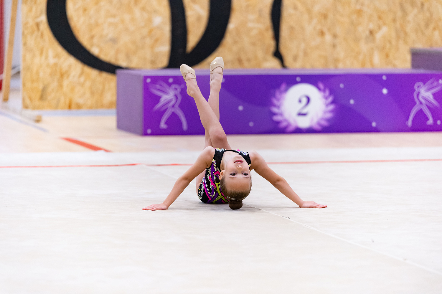 Турнир " Рождественская Стрекоза 2023" 