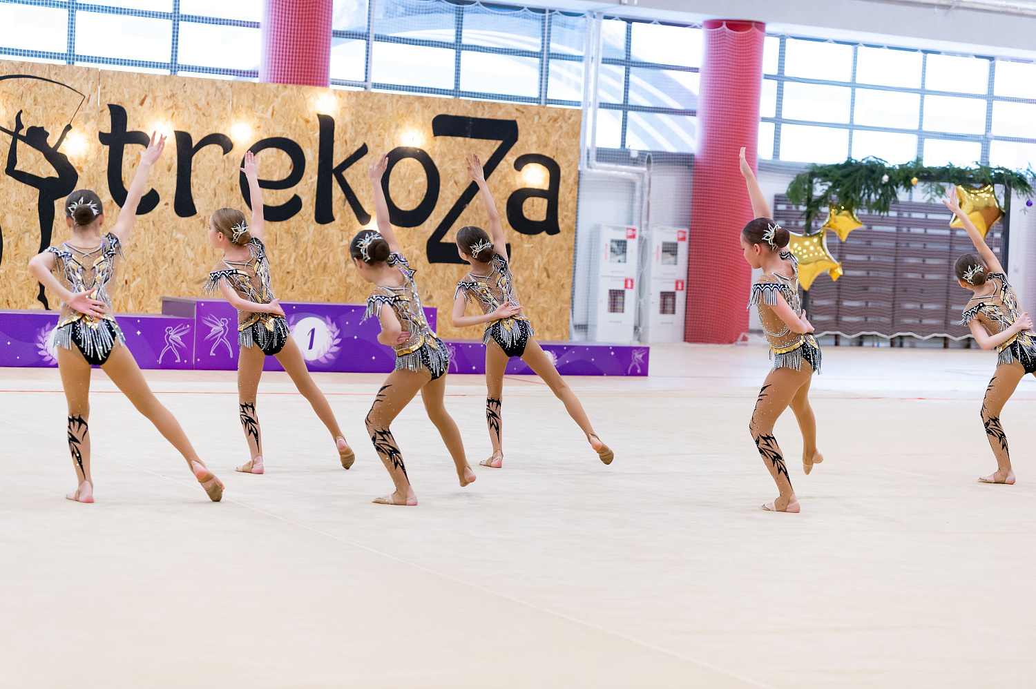 Турнир " Рождественская Стрекоза 2023" 